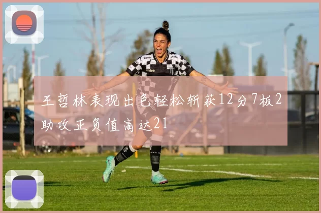 王哲林表现出色轻松斩获12分7板2助攻正负值高达21